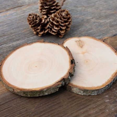 Rondelles de bois "Bark" 8-10 cm, par lot de 2 pces (nature)