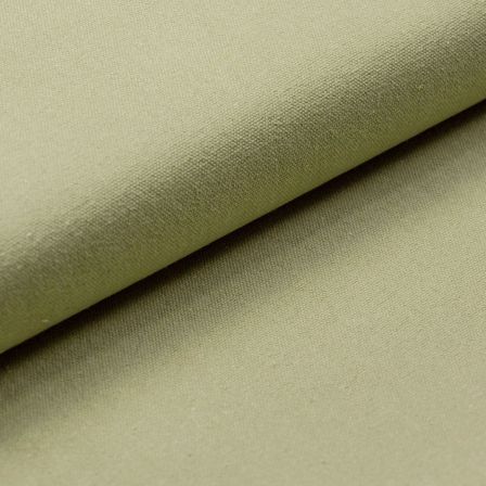 Heavy Canvas - coton "Raw Used - wasabi" (vert pastel)