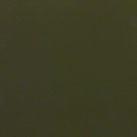 Blachenstoff "glanz" (oliv)
