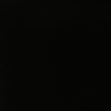 Blachenstoff "glanz" (schwarz)