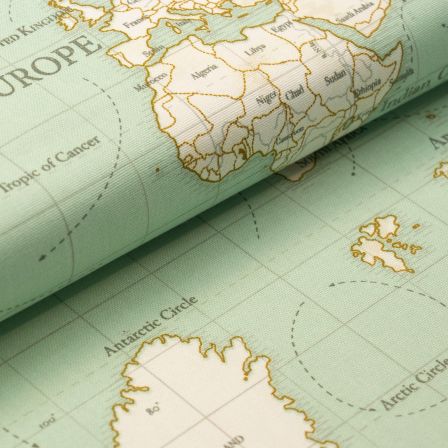 Canevas de coton "Maps/carte du monde" (aqua clair-blanc) de Fryett's Fabrics