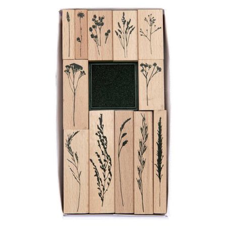 Set de tampons en bois "Transformation - herbes", 12 pièces de RICO DESIGN