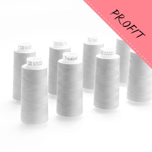 Fil surjeteuse "Trojalock" (0331 gris argenté) de Amann - pack éco de 2 x 4 cônes