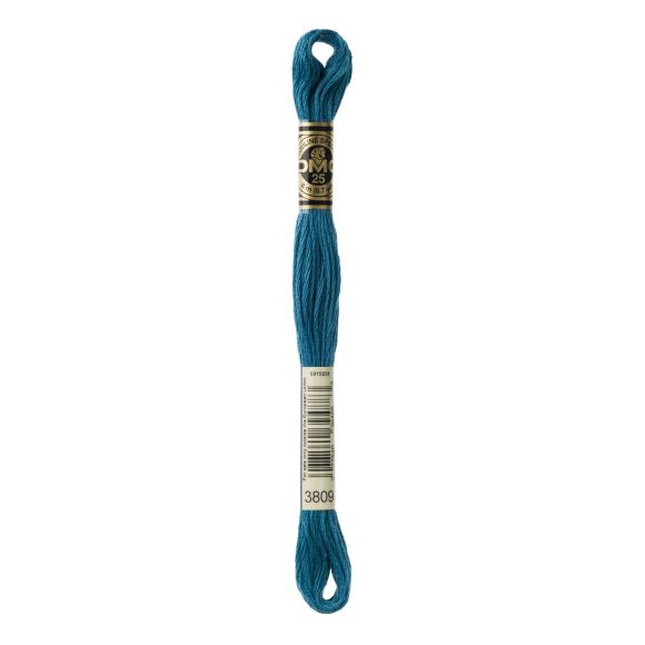 DMC Fil à broder "Mouliné Spécial®" écheveau de 8 m - à 6 brins (3809/turquoise)