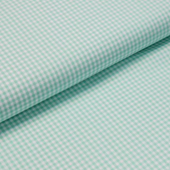 Coton - fil teint "Carreaux vichy" 2.5 mm (menthe/blanc)