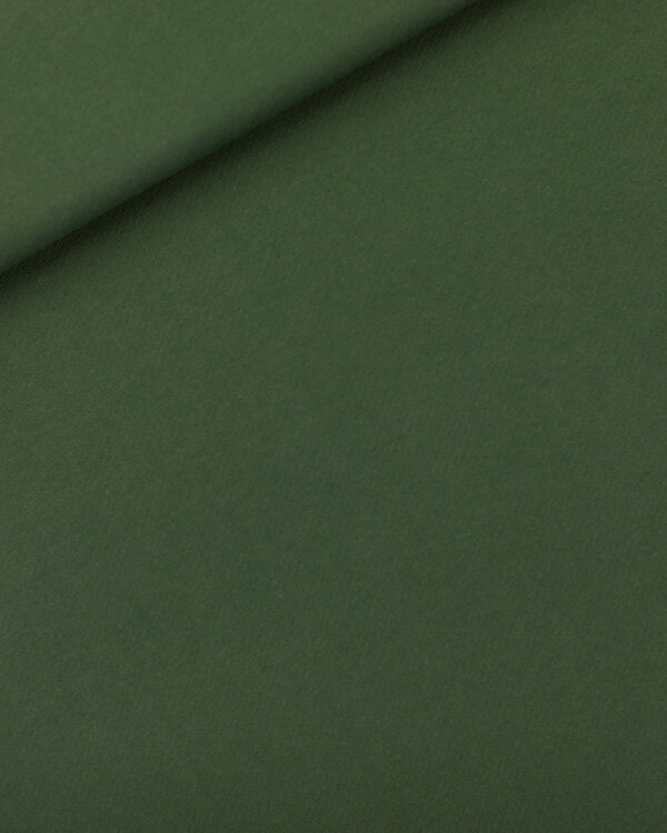 Sweat d’été / French Terry coton "uni - Heavy 3-Thread - greener pastures" (vert) de See You at Six