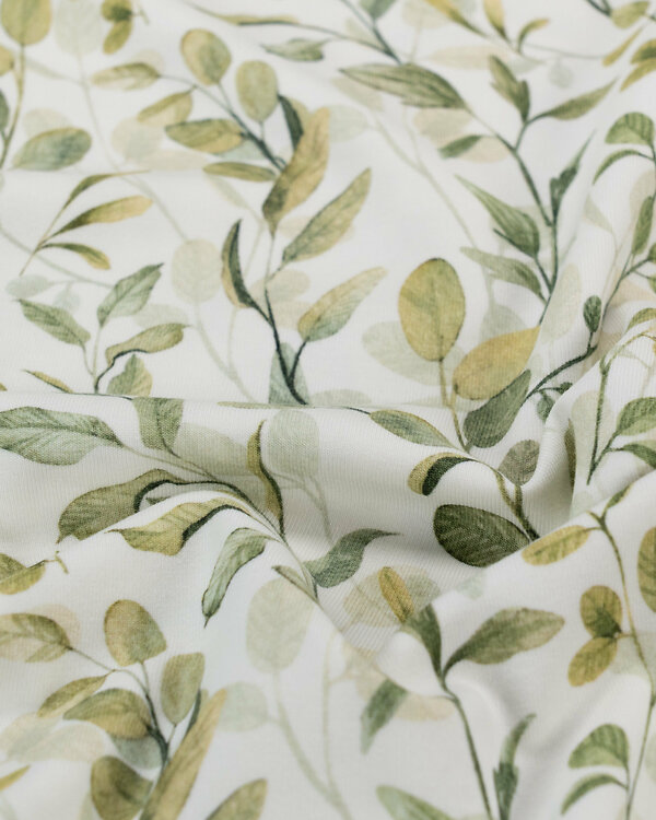 Jersey coton bio "Feuilles" (offwhite-olive)