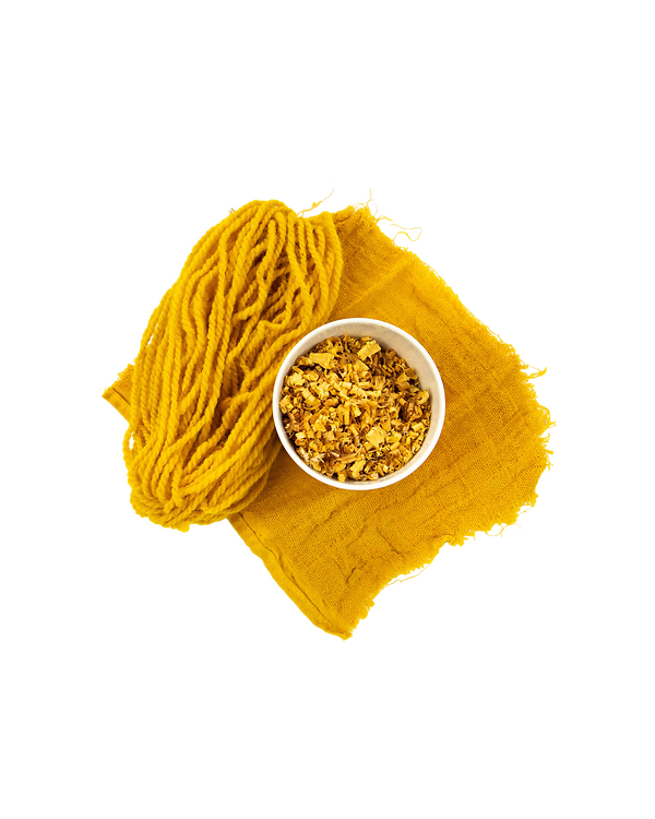 Teinture végétale/Teinture textiles "Bois jaune - broyé" (jaune de maïs) de Kremer Pigmente