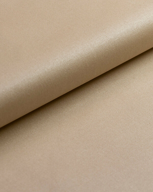 Toile cirée - coton enduit "Alvaro“ (champagne)